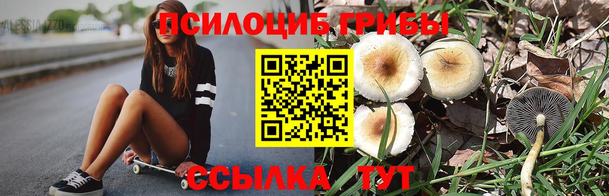 Галлюциногенные грибы Magic Shrooms  Вход с VPN  Сургут 