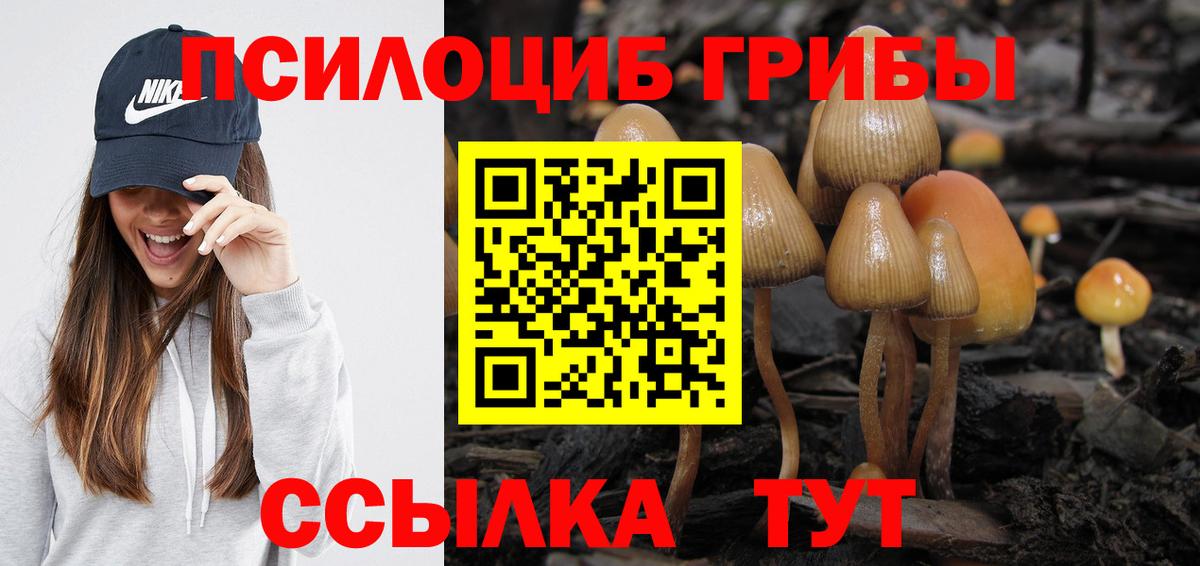 Псилоцибиновые грибы ЛСД Сургут