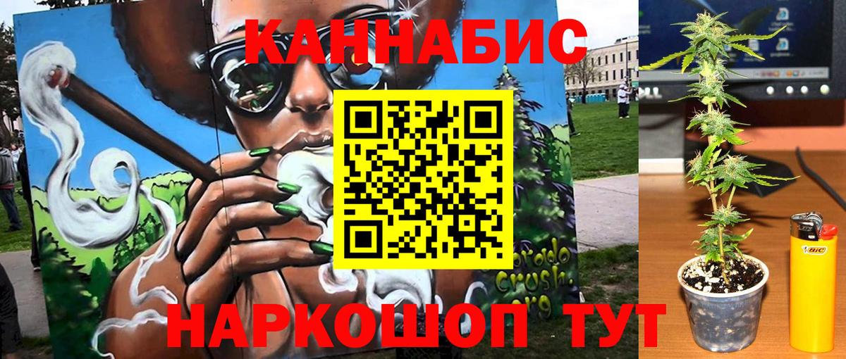 Канабис SATIVA & INDICA Сургут